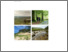 [thumbnail of 11597 Underwood, Gaskel, Morse, Mills, Nolan, Metcalf, Breyer (2020) Countryside stewardship facilitation fund phase 3 final report LM04101.pdf]