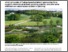 [thumbnail of 7091 Jones (2019) Nature based solutions.pdf]