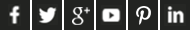 Social Media Icons